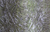 Standlake fibreglass roof work